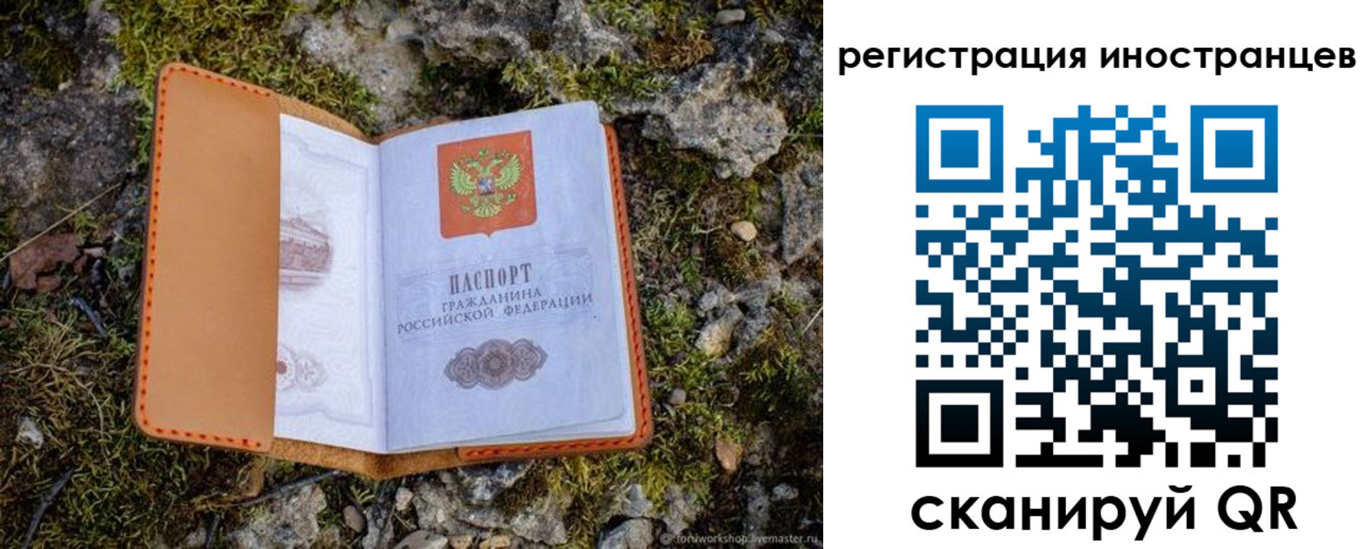 прописка паспорт в Хабаровском крае